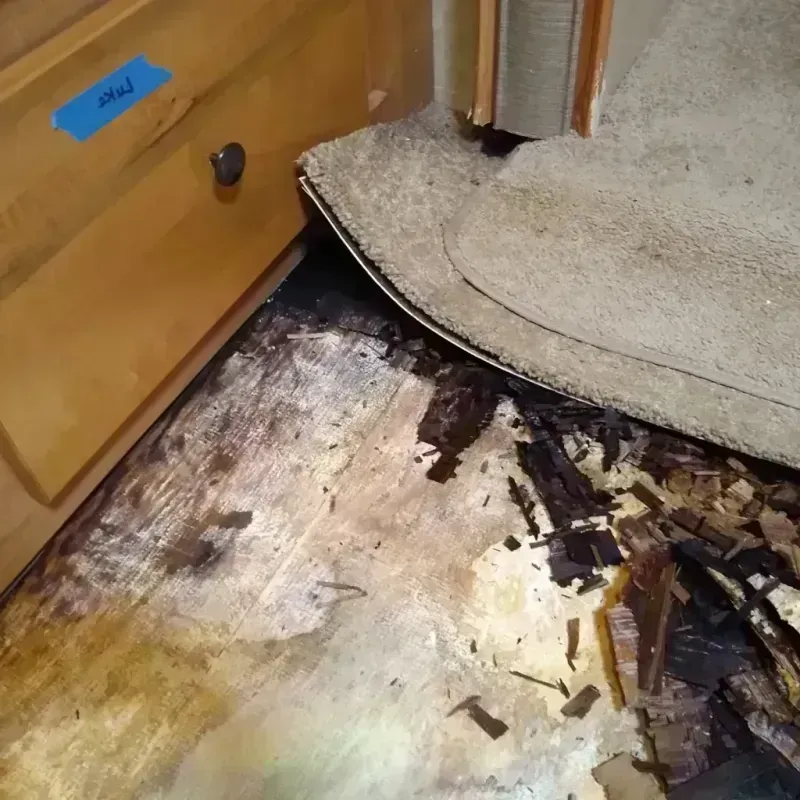 Best Wood Floor Water Damage Service in Minonk, IL